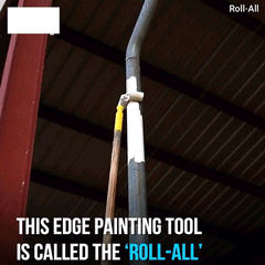 Double Paint Roller Brush